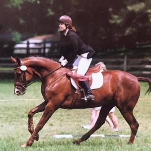 Meet your Posher, Lee